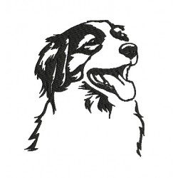 Stickdatei - Kooiker Silhouette